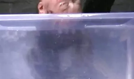 Pisi-húgy amatőr televeri videó-kibaszott a húgy