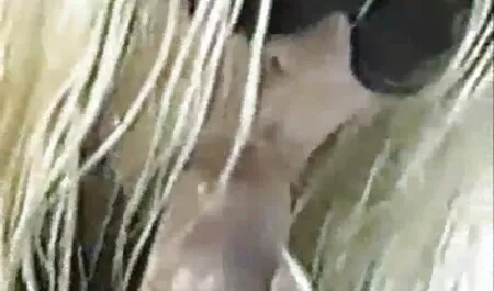 Kakaó kurva veszi fehér dick! ingyen pirnó