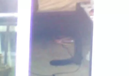 Ladyboy napos ingyen sexvideók szerető kakas